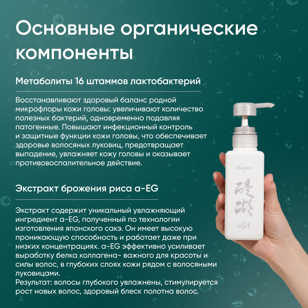 Daigo Shampoo