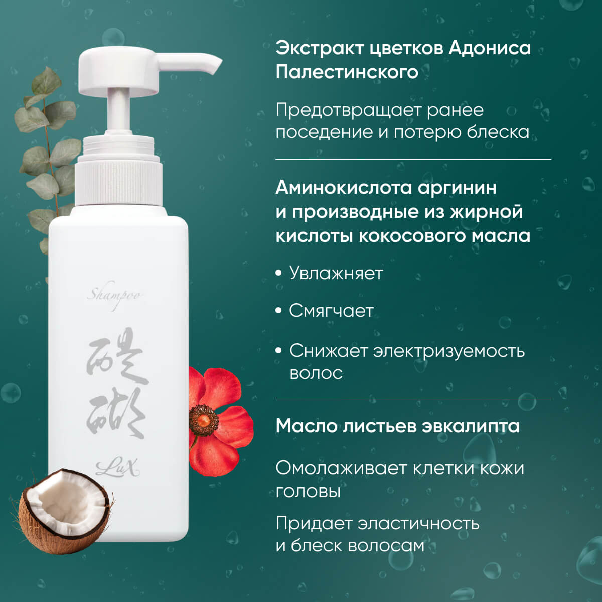Daigo Shampoo