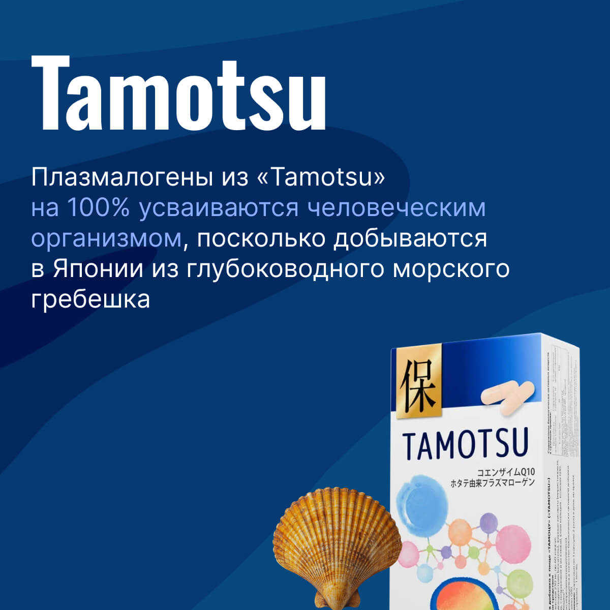 Tamotsu
