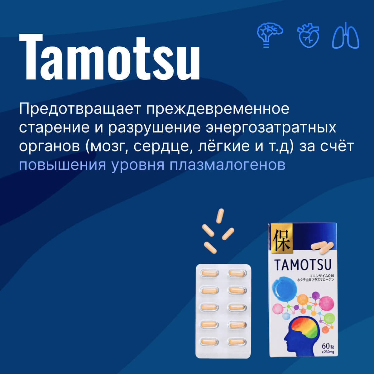 Tamotsu