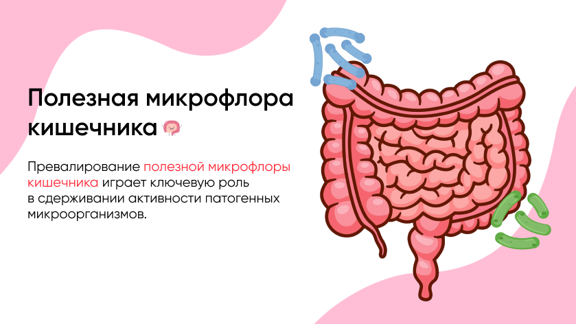 баннер 3.png