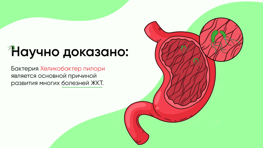 баннер 1.png