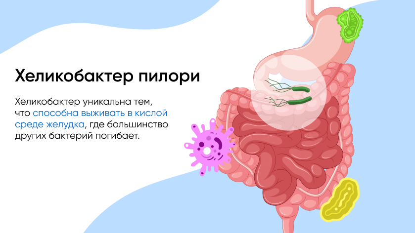 баннер 1.png
