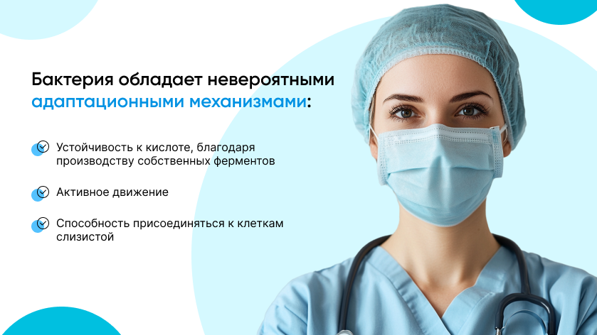 баннер 2.png