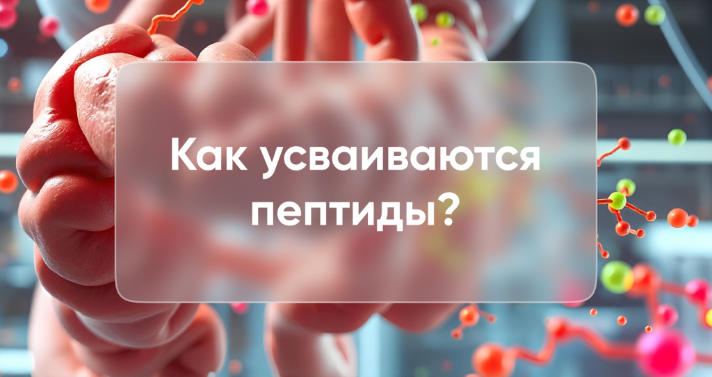 картинка 2.png картинка 2.png
