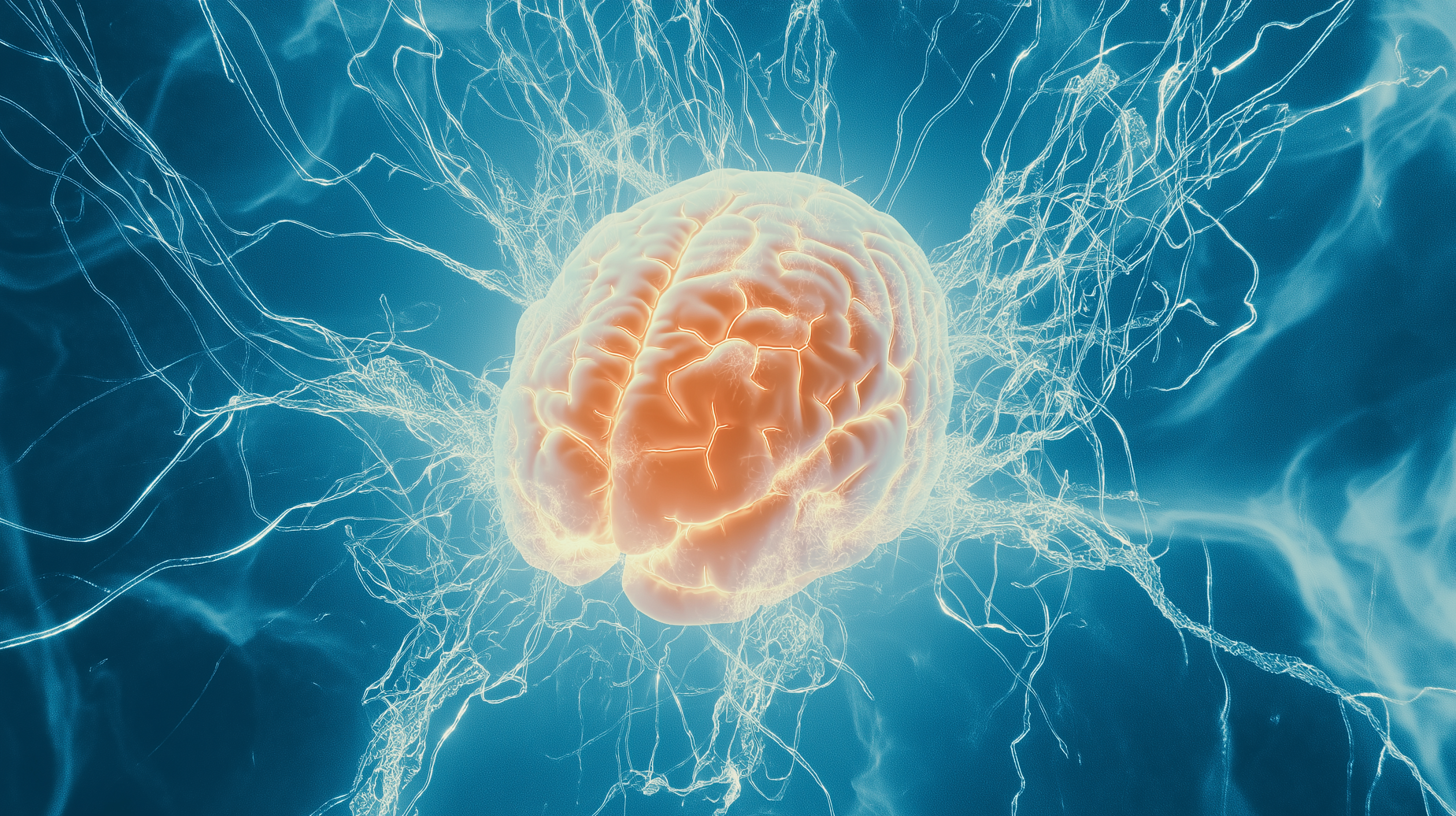 Плазмалогены - скрытый ресурс вашего мозга: как увеличить продуктивность в 2 раза?