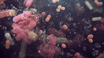 Невидимые помощники нашего здоровья: зачем нужна микробиота кишечника? 