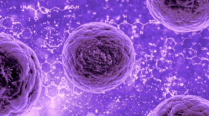 Микробиом современного человека: главные угрозы, их последствия и стратегии восстановления.