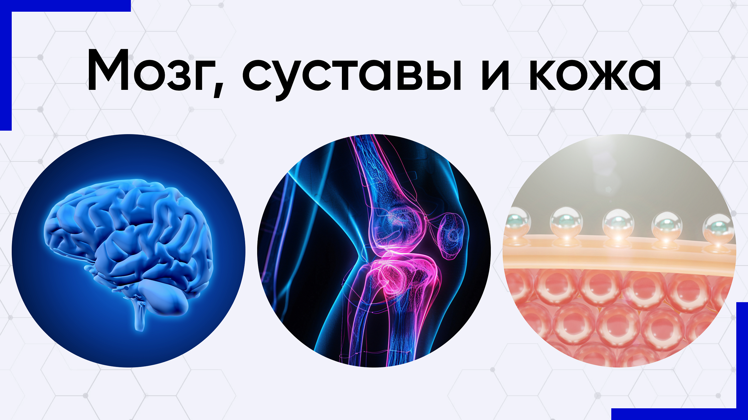 Мозг, суставы и кожа: открыты продажи новых продуктов от бренда Daigo! Мозг, суставы и кожа: открыты продажи новых продуктов от бренда Daigo!