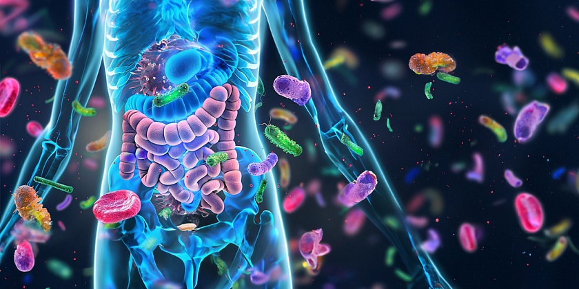 Тревожные звоночки: главные симптомы Хеликобактер Пилори.