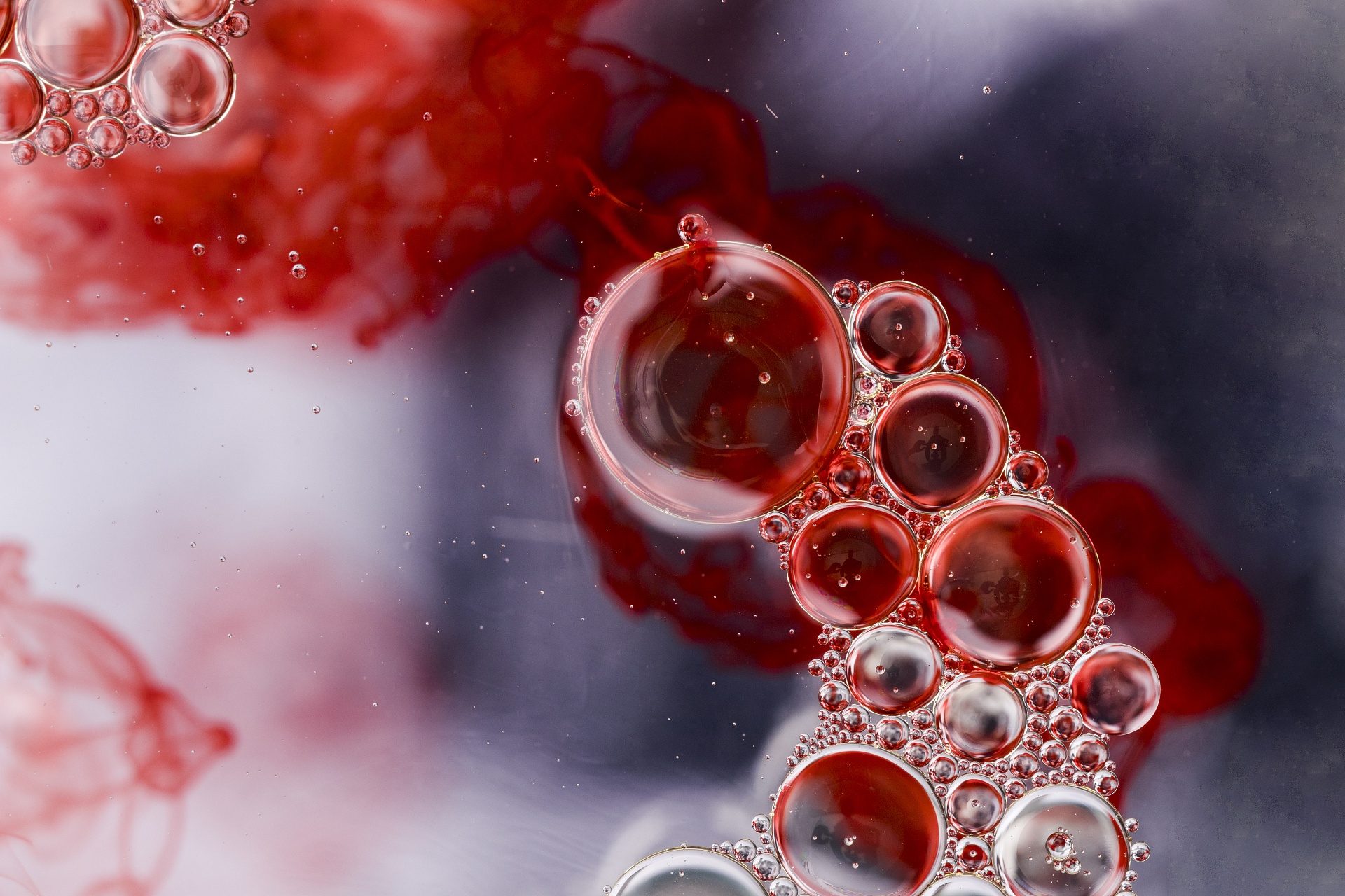 Tamotsu. Решение загадки плазмалогена — от фундаментальной науки к клиническому применению