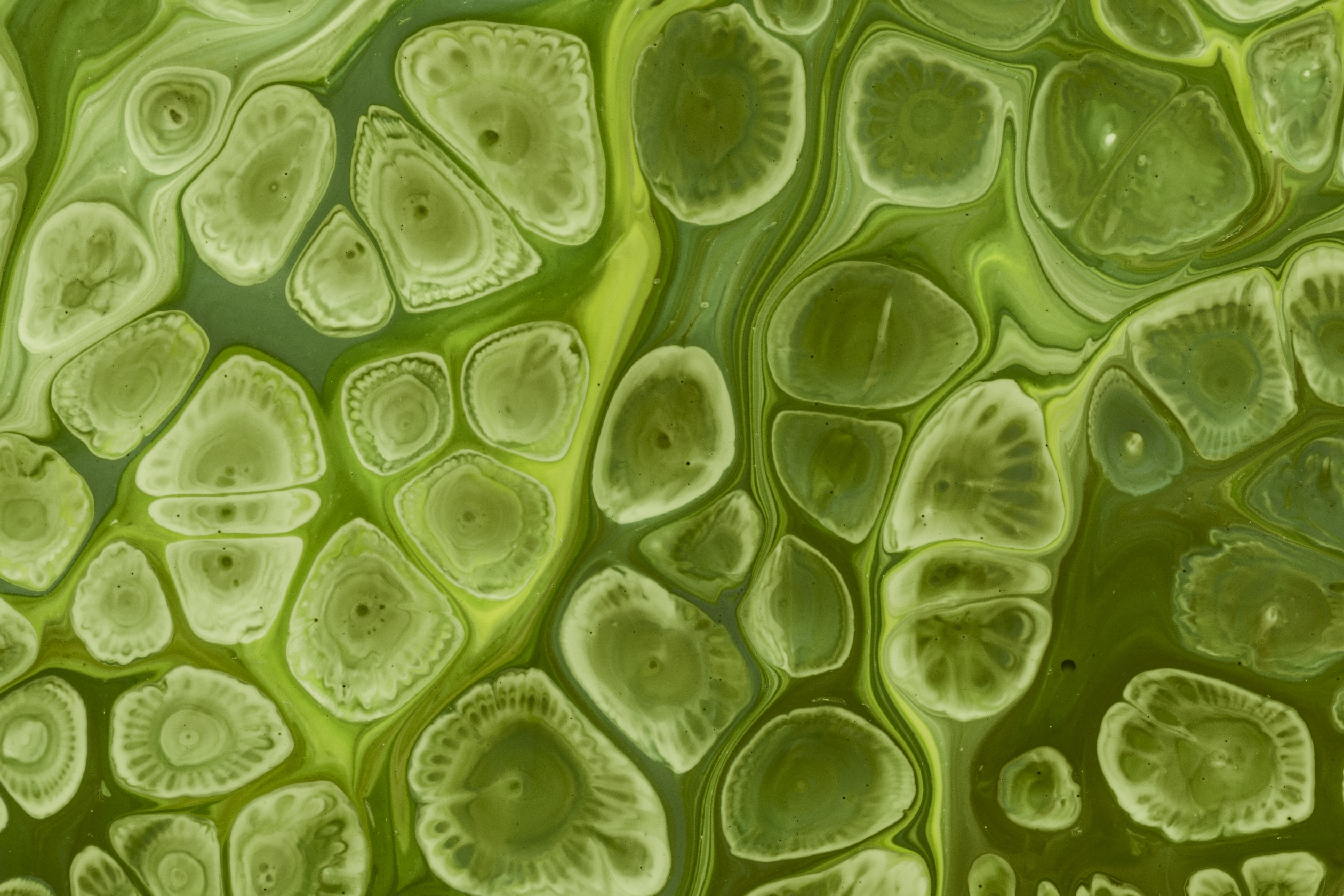 Печень и детокс