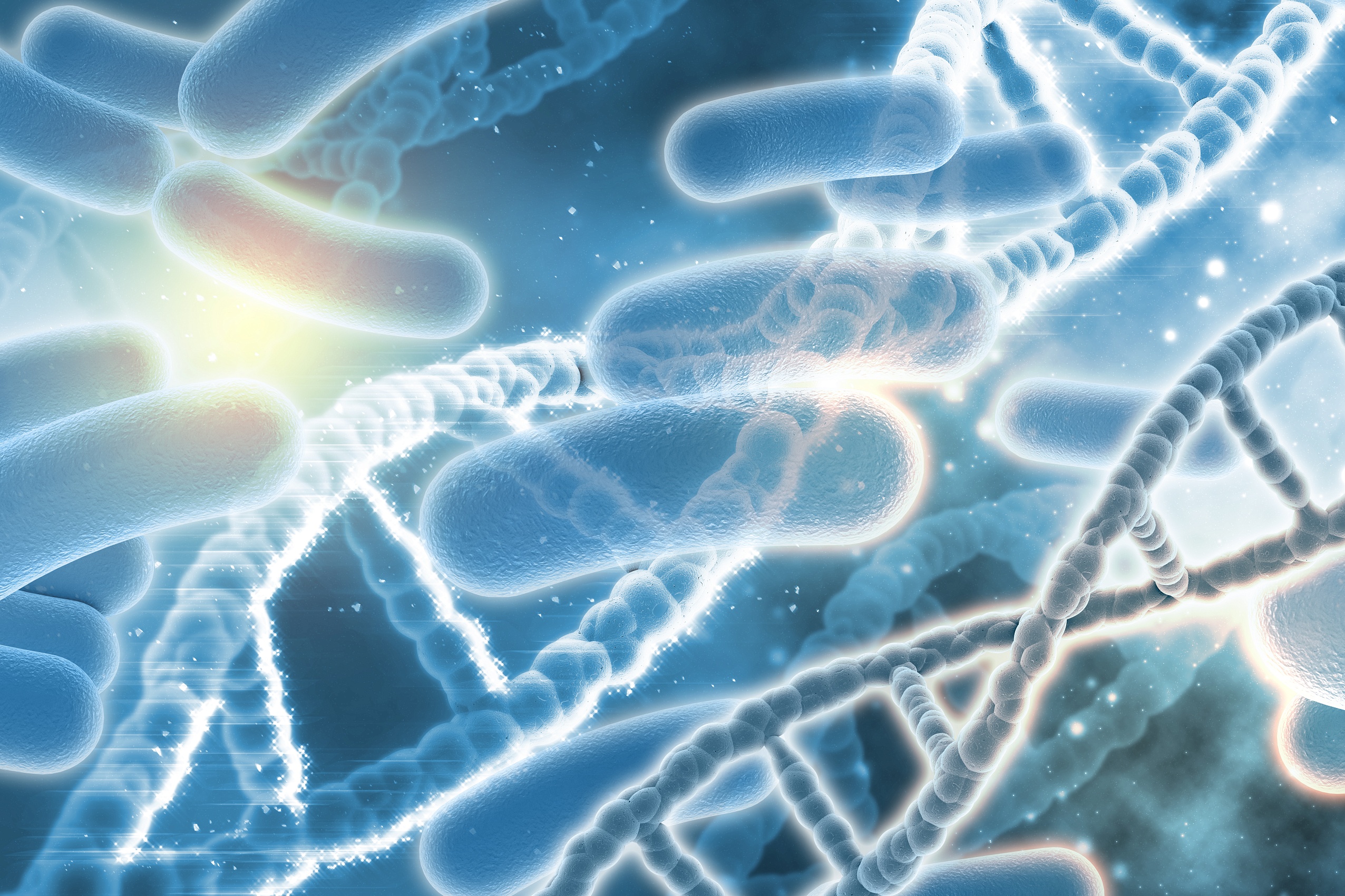 Диета при инфекции Helicobacter pylori Диета при инфекции Helicobacter pylori
