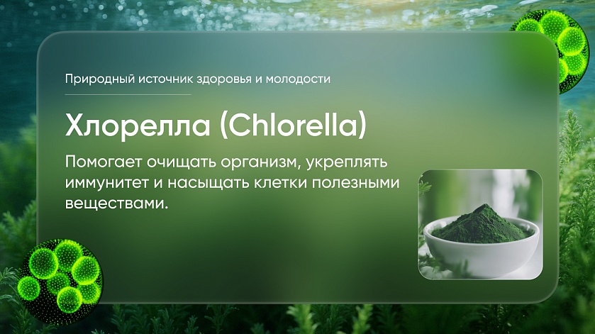 Пептид хлореллы: природный источник здоровья и молодости
