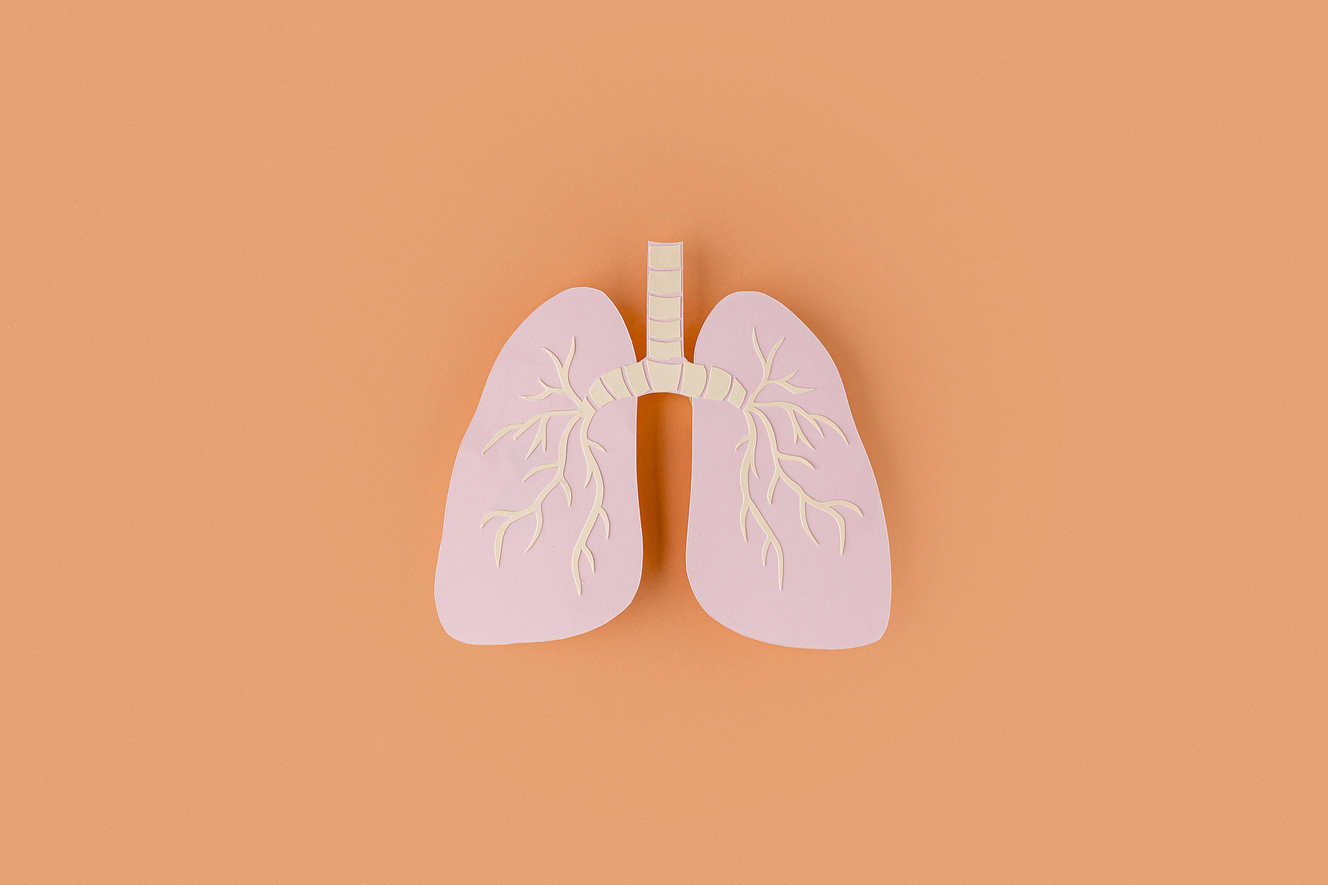 Бронхиальная астма (БА), причины, симптомы