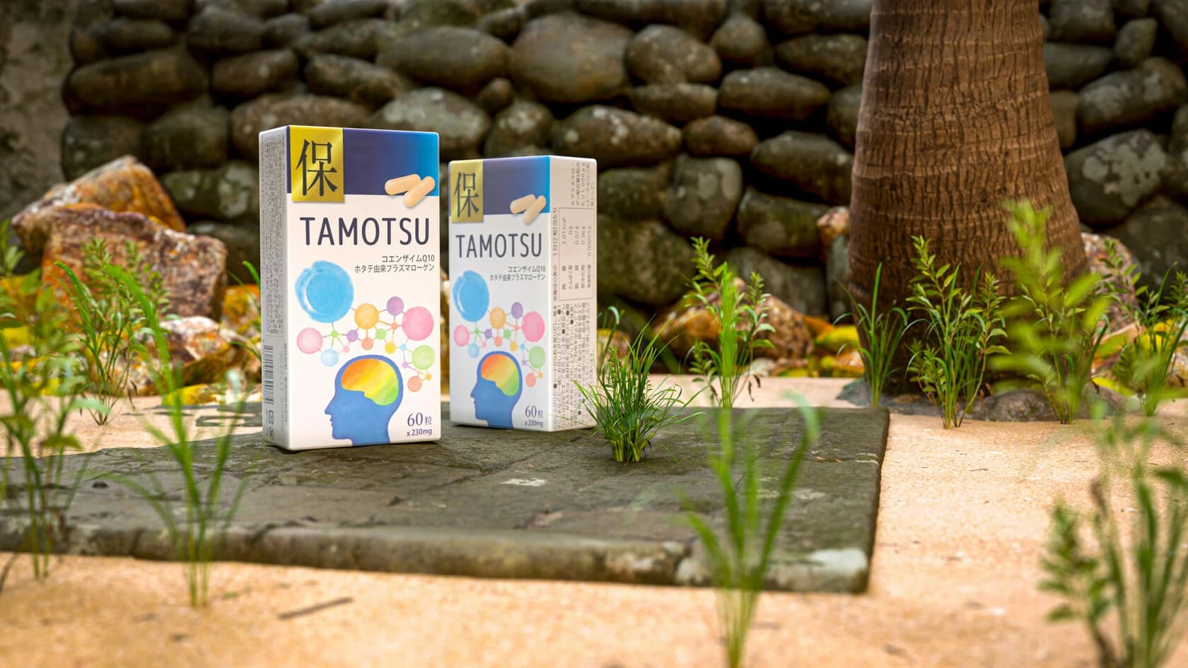 Исследование: эффективность перорального приёма плазмалогена Tamotsu (Тамоцу)