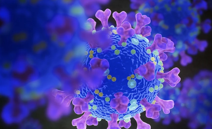 Современный взгляд на хроническое воспаление